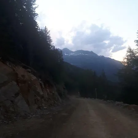 Гостьовий будинок Alpengasthof Sonneck